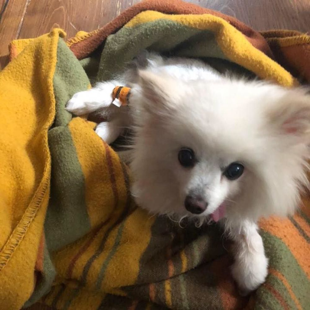 Meet your Posher, Rhonda